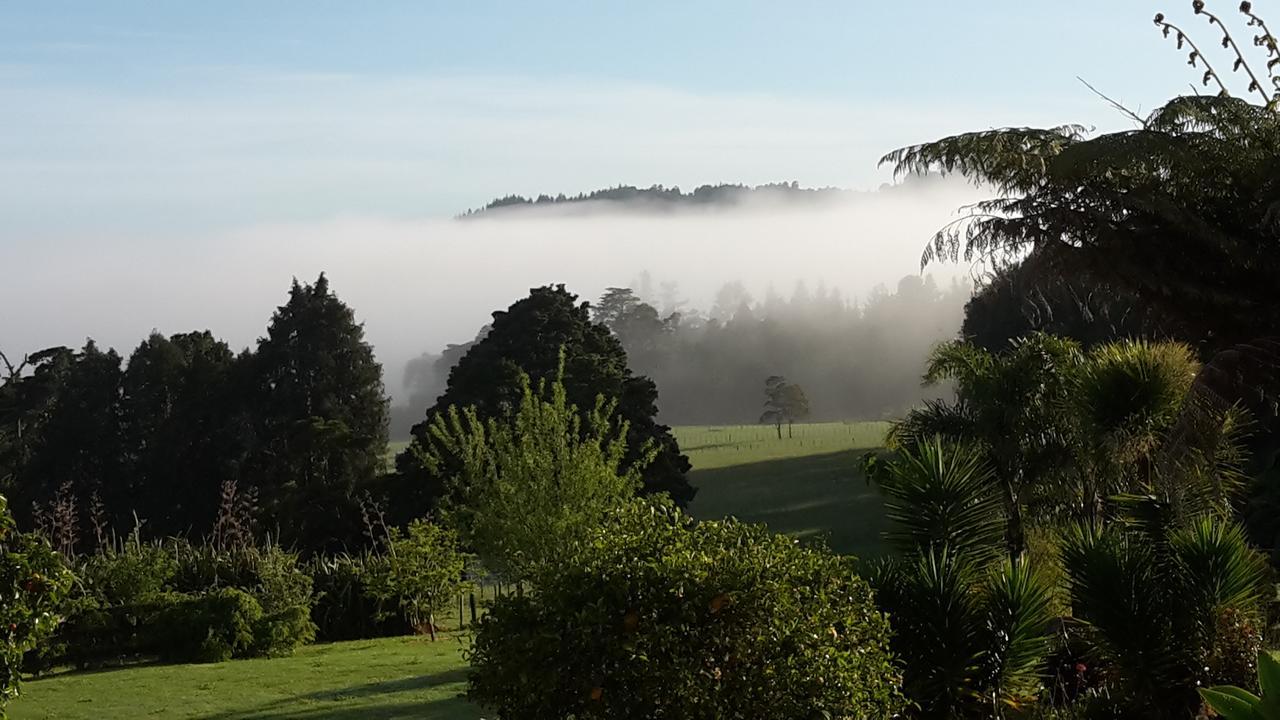 Vinegar Hill Bed & Breakfast Kauri Екстериор снимка
